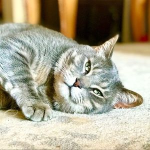 Meet your Posher, Kayla